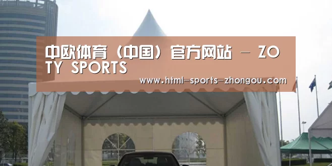 案例标题八