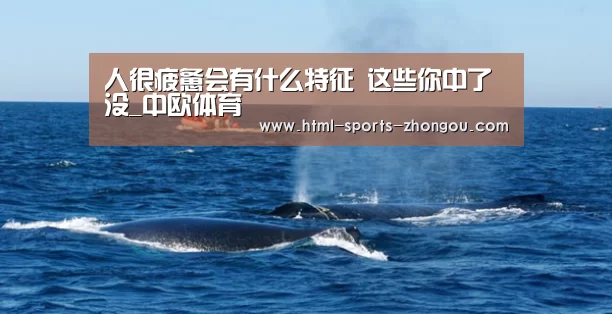 人很疲惫会有什么特征 这些你中了没_中欧体育(图3) 中欧体育官网