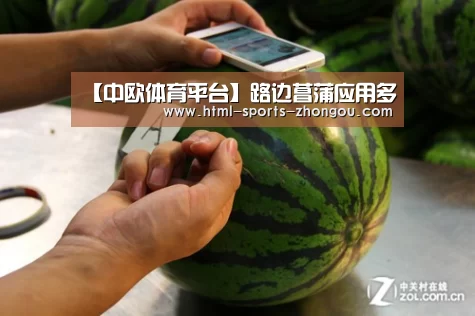 中欧体育官网