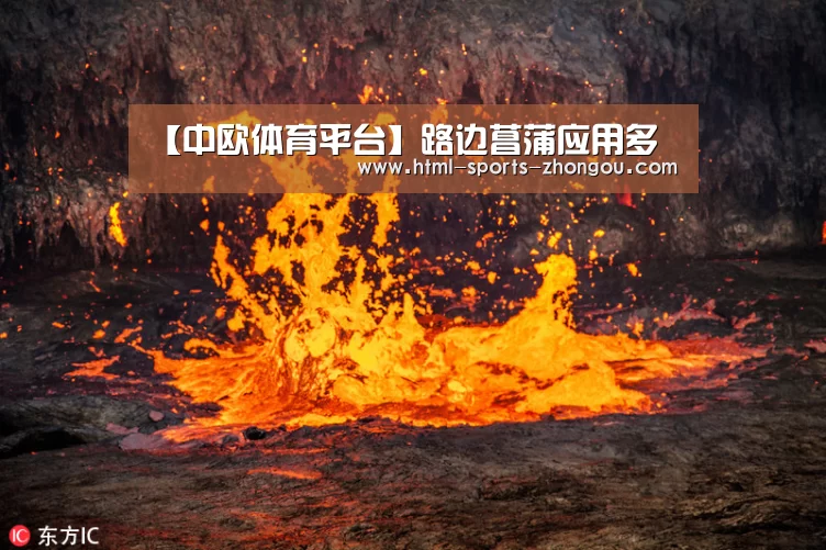 中欧体育