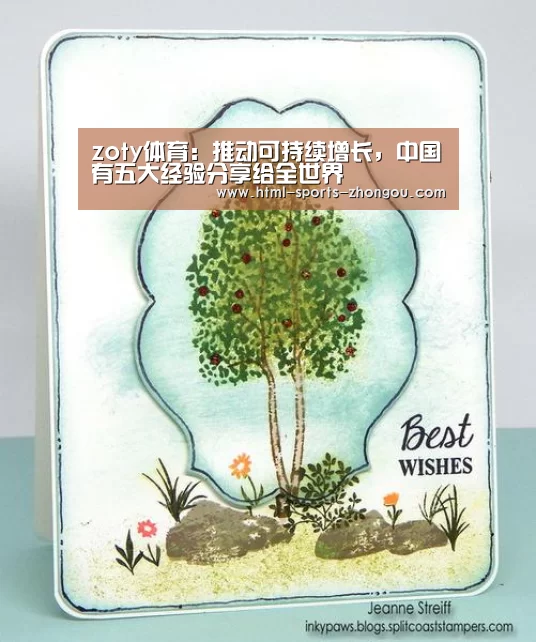 中欧体育官网