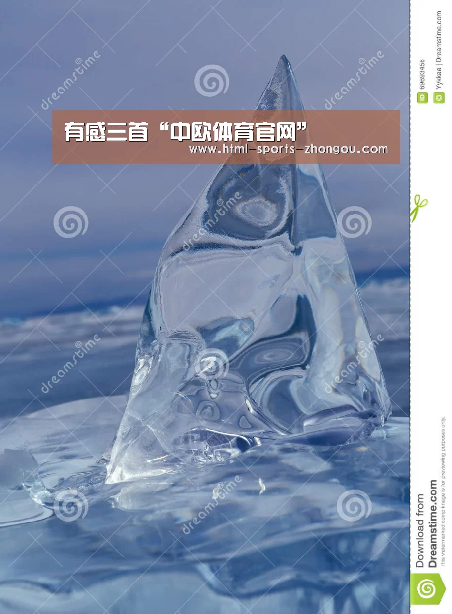 中欧体育平台