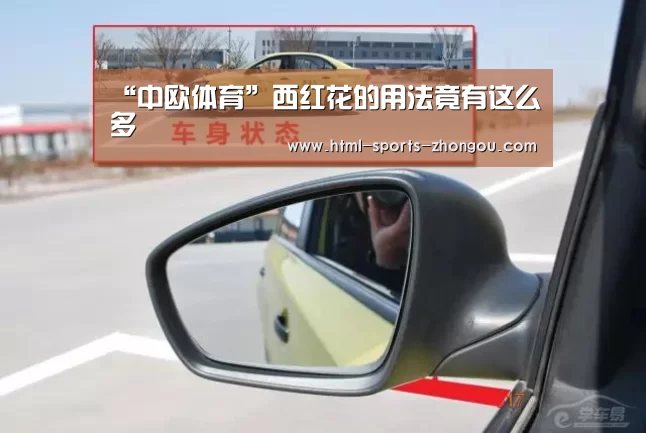 中欧体育官网