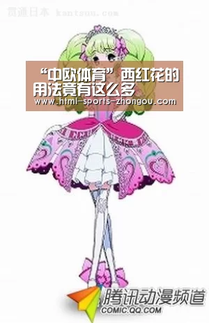 中欧体育