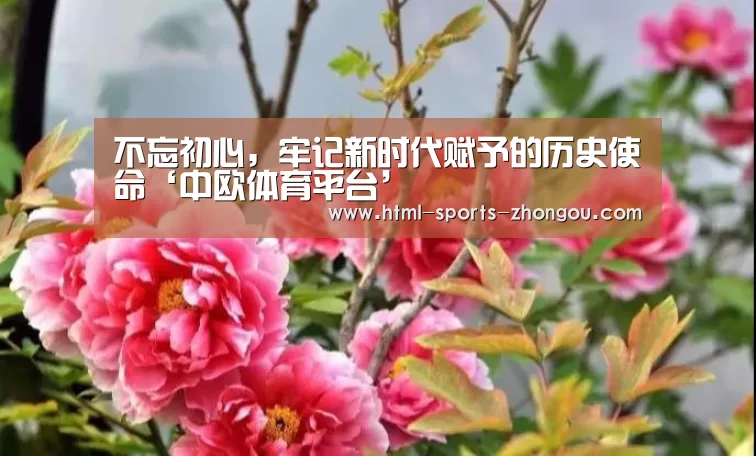 中欧体育