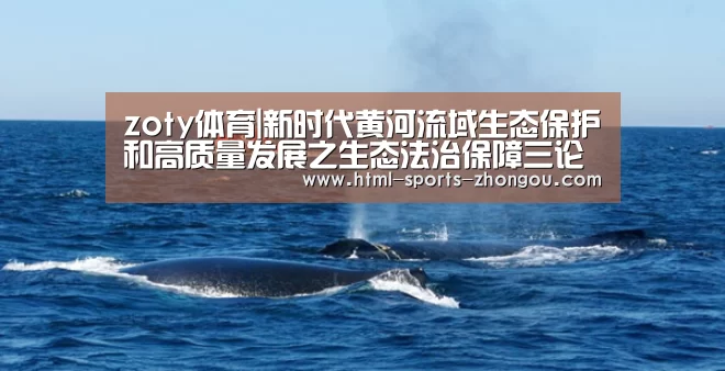 中欧体育官网